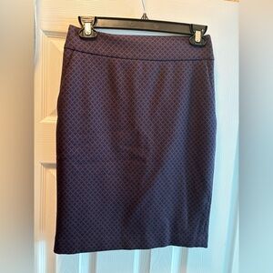 Express Pencil Skirt